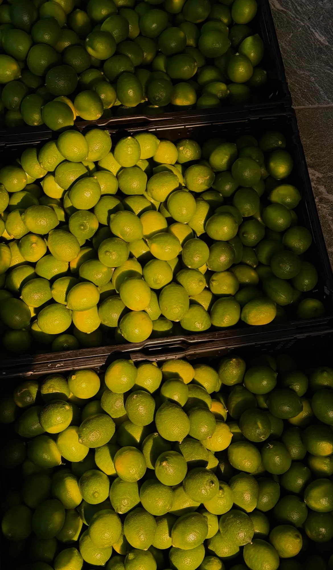 Citrons verts